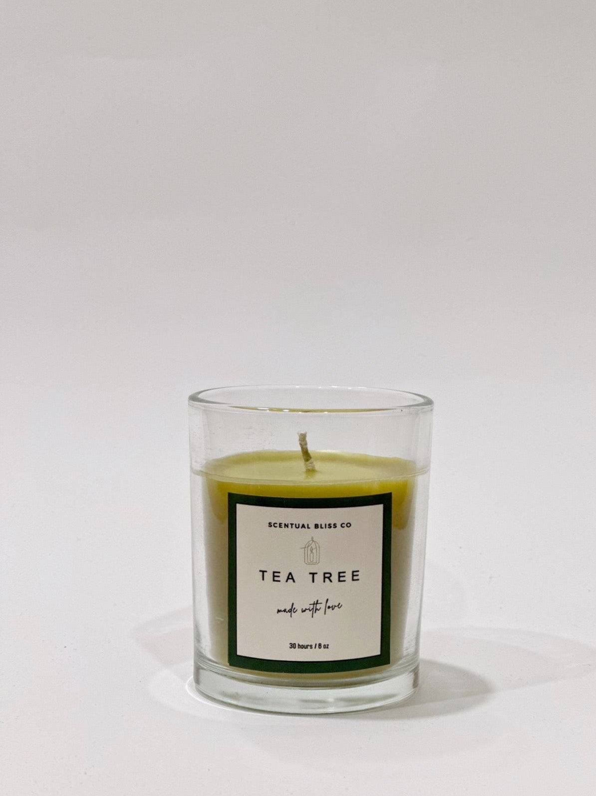 Tea Tree Glass Candle